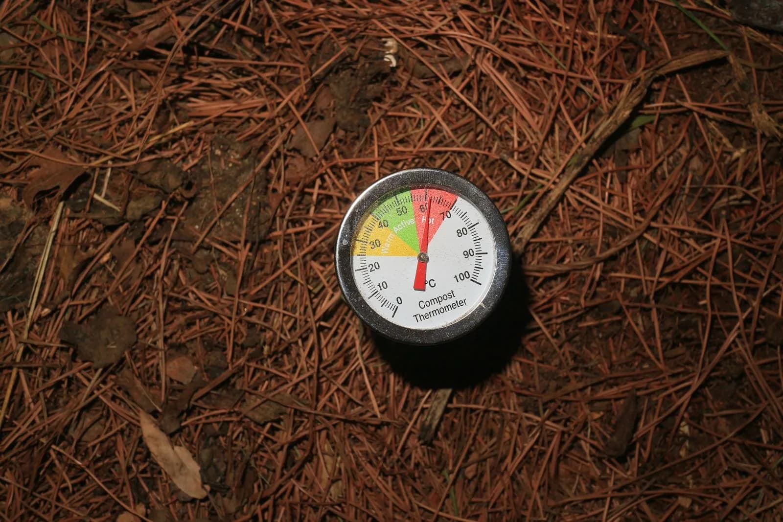 A compost thermometer reading in the hot range inside an actively decomposing pile.