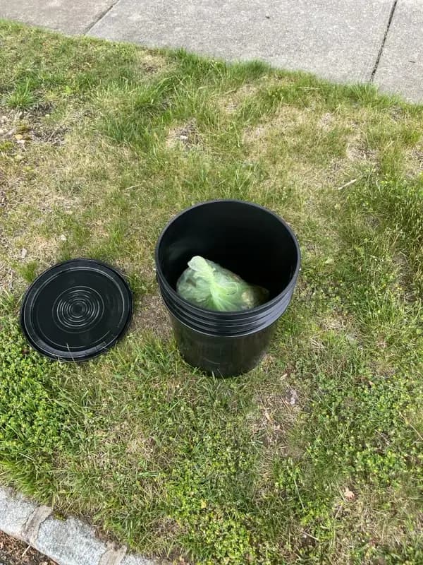 Top-down view of a Torus bucket lined with a compostable liner full of food scraps.