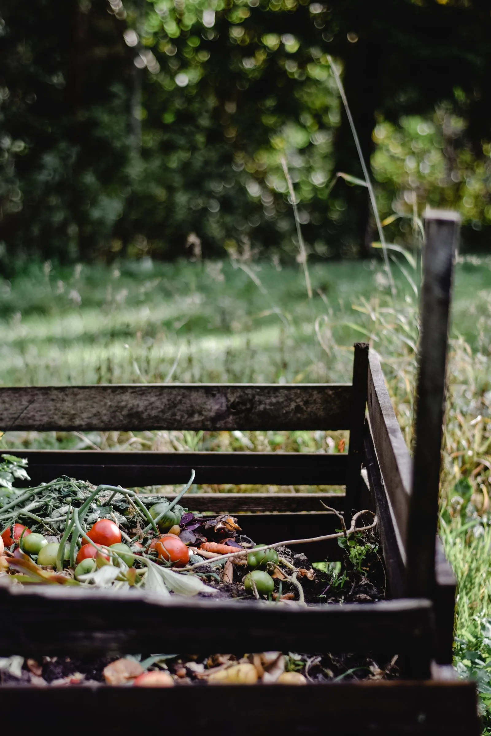 Food scraps decomposing in an outdoor backyard compost bin