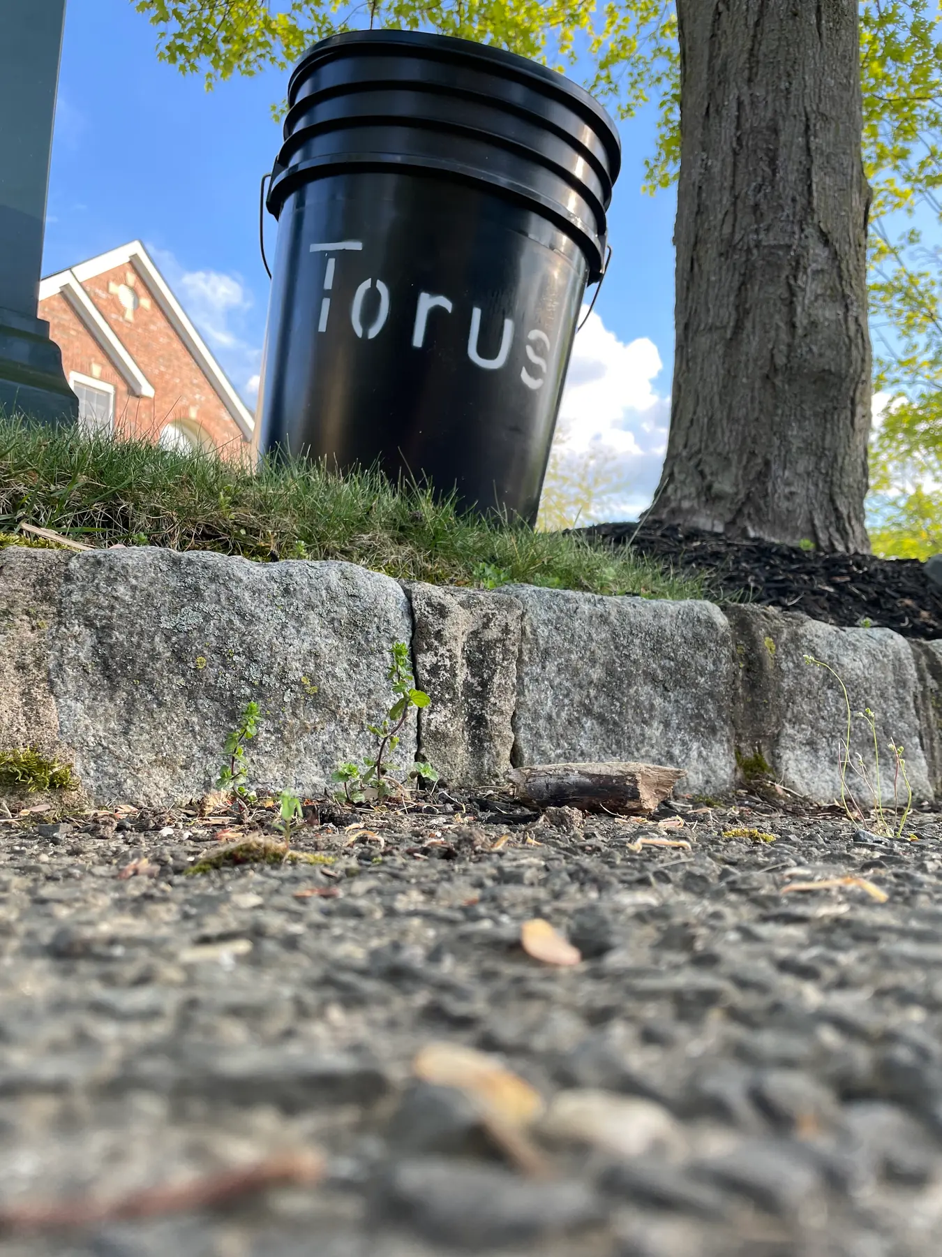 Reusable Torus food-scrap bucket at a New Jersey community collection site