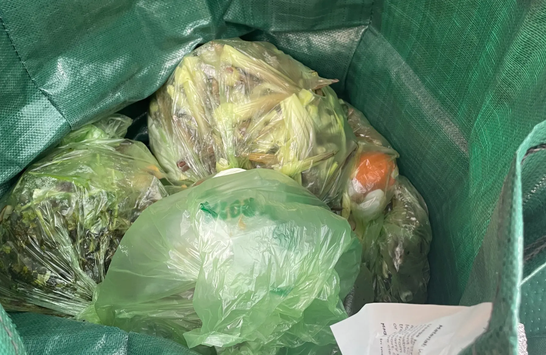 Leftover kitchen food scraps collected for review during a household food-waste audit.