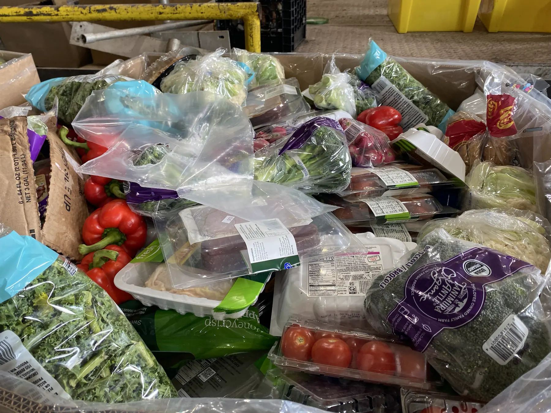 Wasted food and vegetables sent to landfill