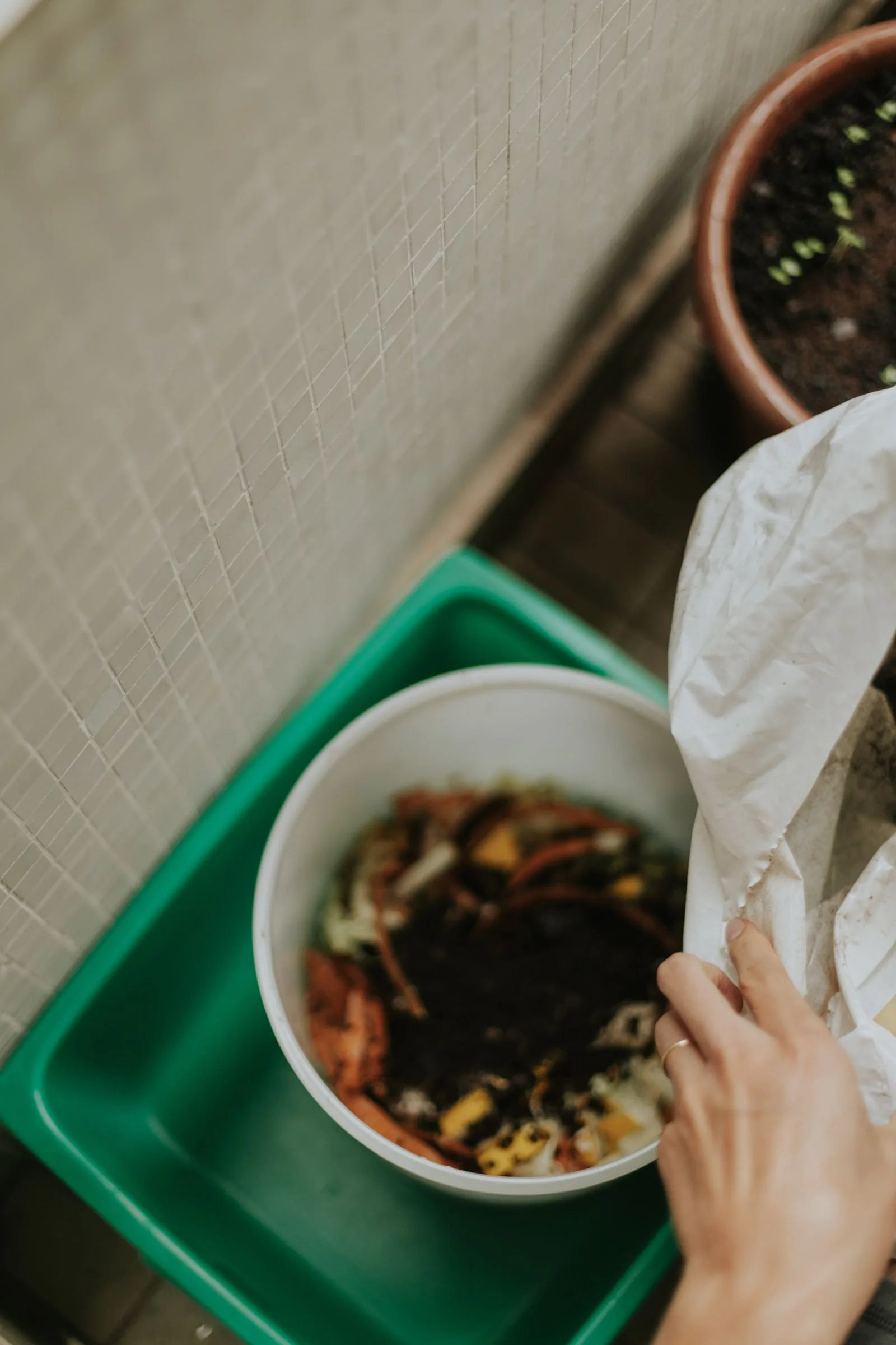 Mixed food waste collected in a household bin, ready to be added to a food waste digester.