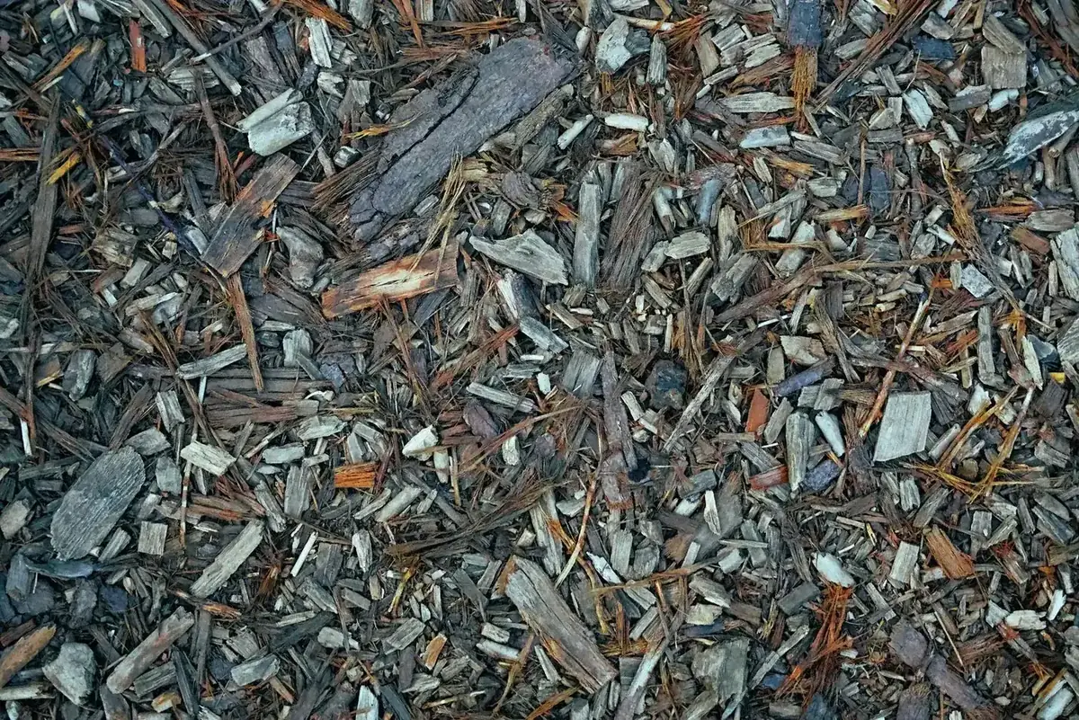 A thick layer of wood chips and bark mulch spread as a carbon-rich sheet over the ground.