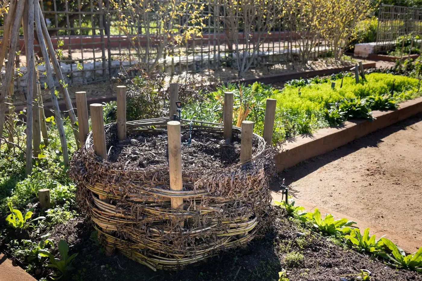 A neat, self-contained garden composter in a tidy raised-bed vegetable garden.