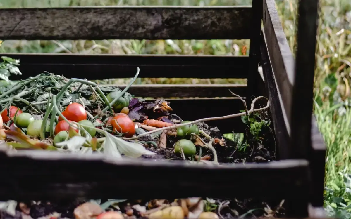 A backyard compost setup with organic material ready to break down