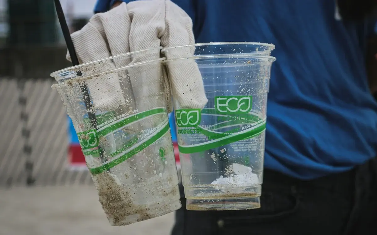 Compostable vs. Biodegradable: Which Bin? | Torus