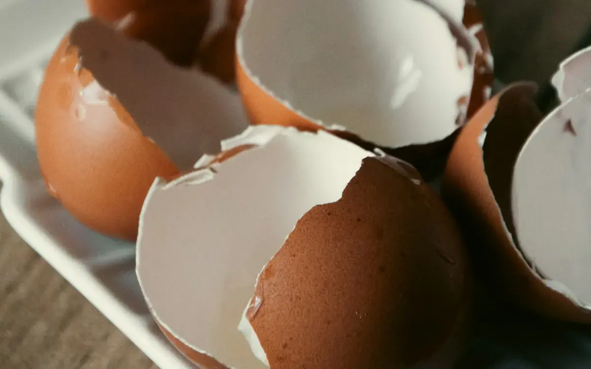 Clean cracked eggshells on a small plate