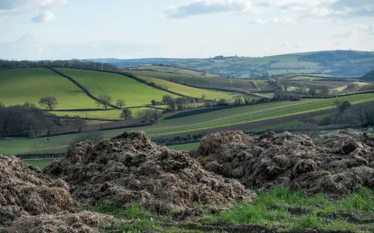 A compost pile in an open agricultural landscape