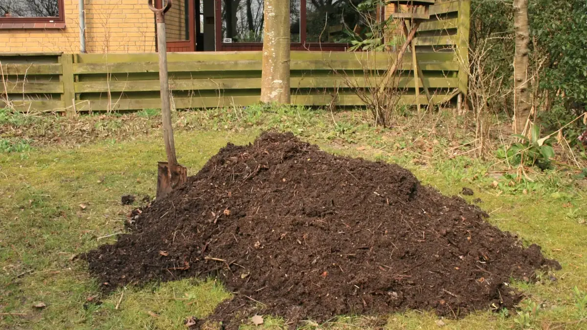 A garden compost heap with a spade, showing dark material and partly decomposed twigs.