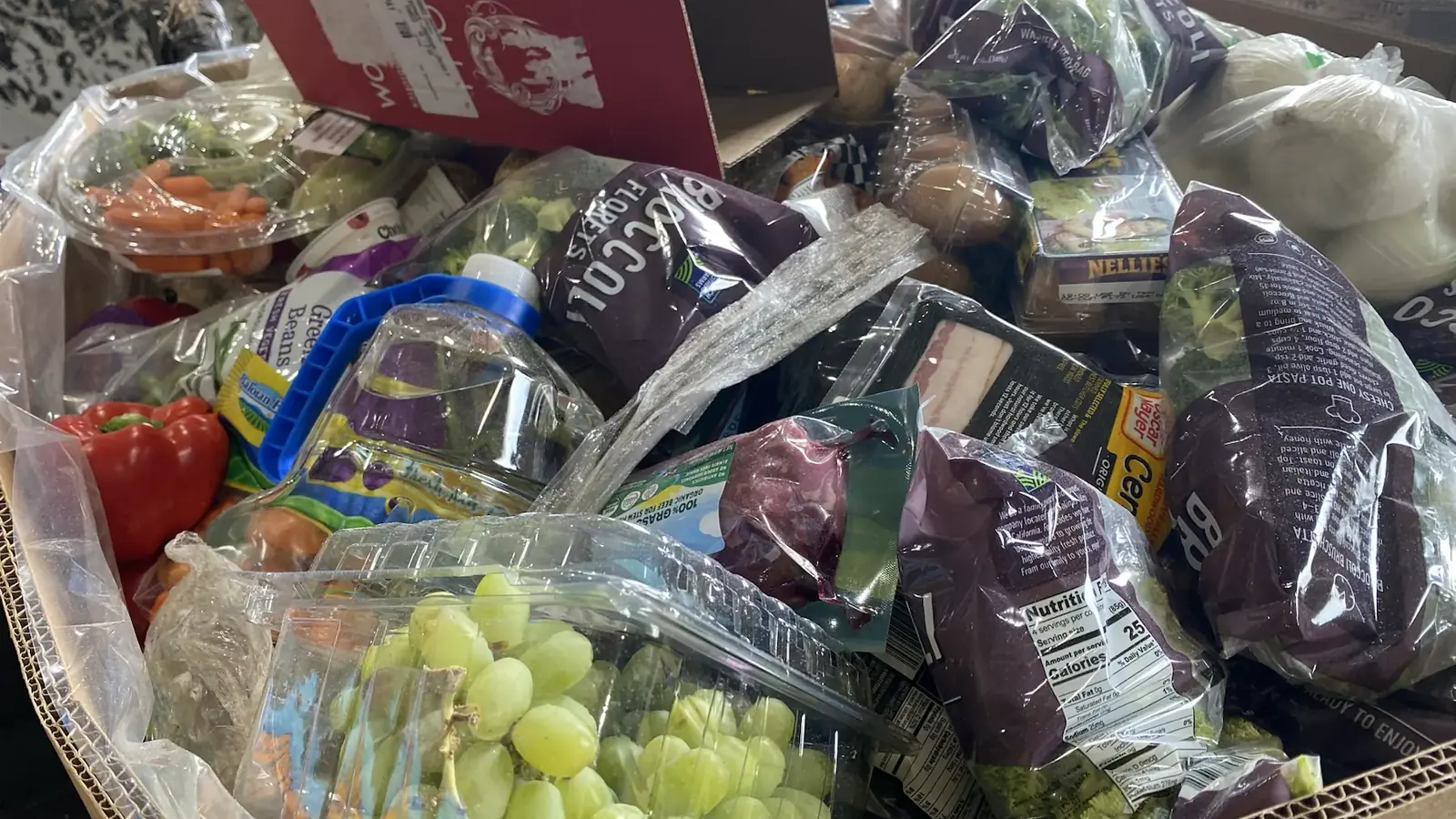 A close-up of collected food waste and compost contents diverted from the landfill.
