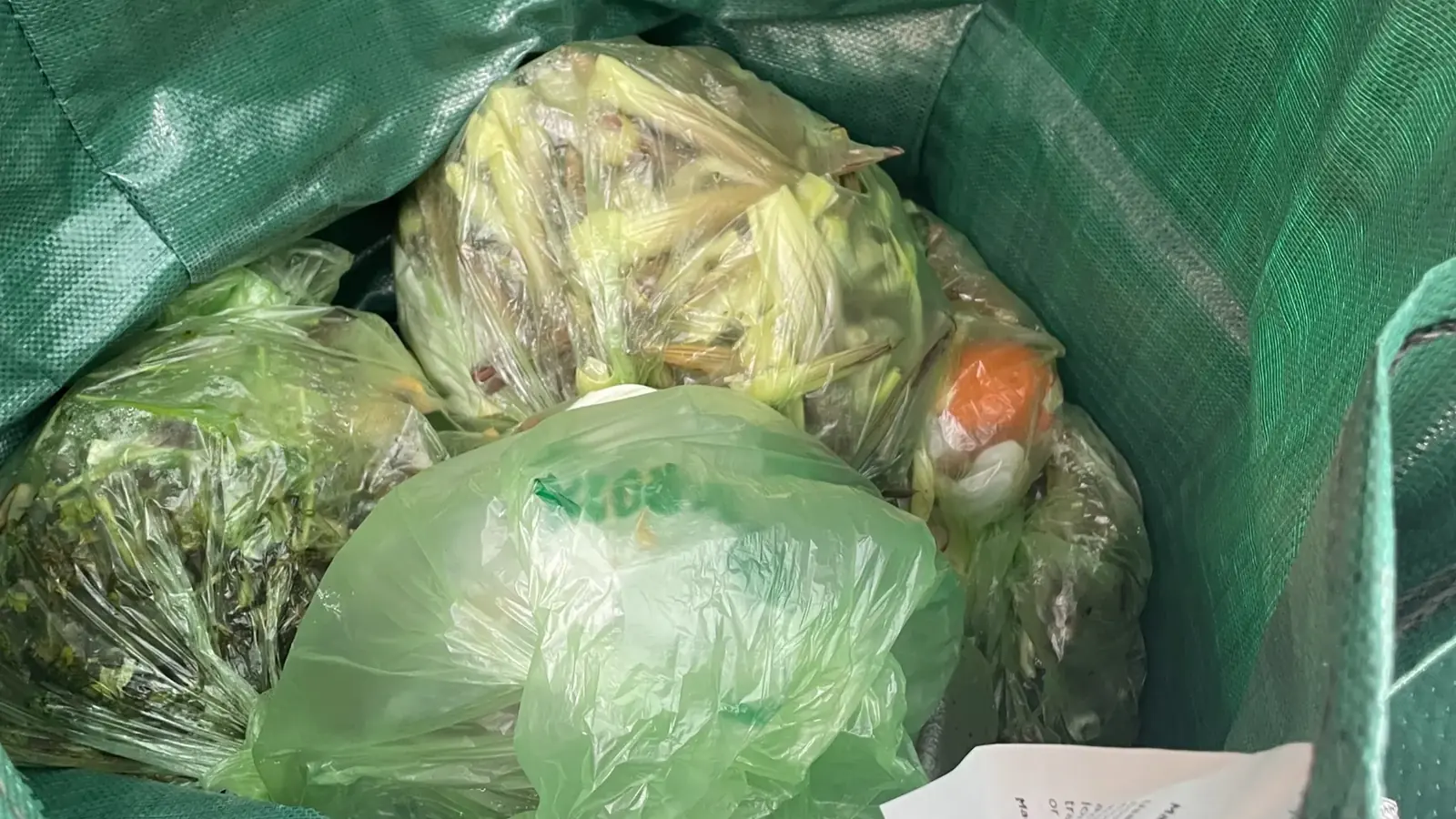 Leftover kitchen food scraps collected for review during a household food-waste audit.
