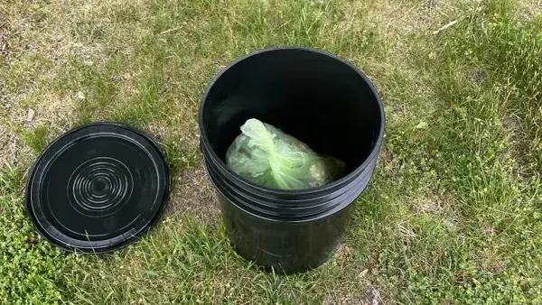 A countertop food-scrap pail lined with a compostable bag and filled with kitchen scraps.