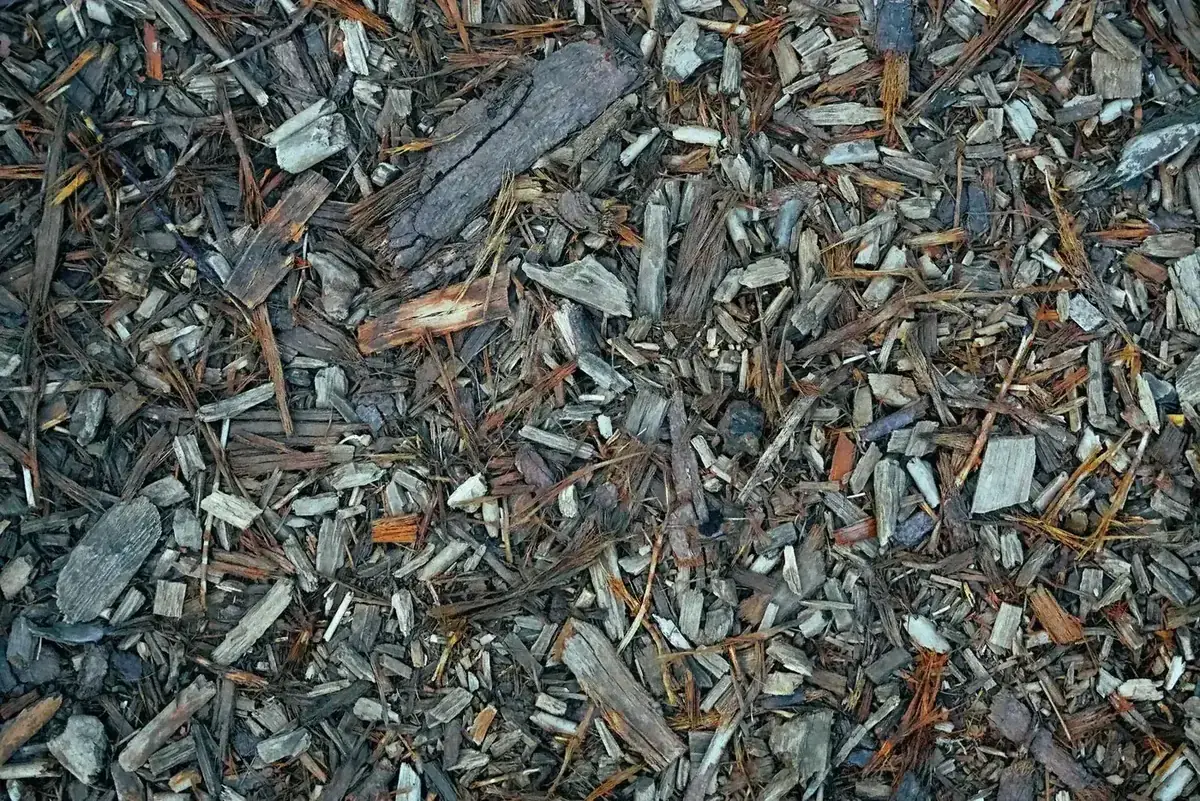 Organic layers spread across a garden bed for sheet composting.