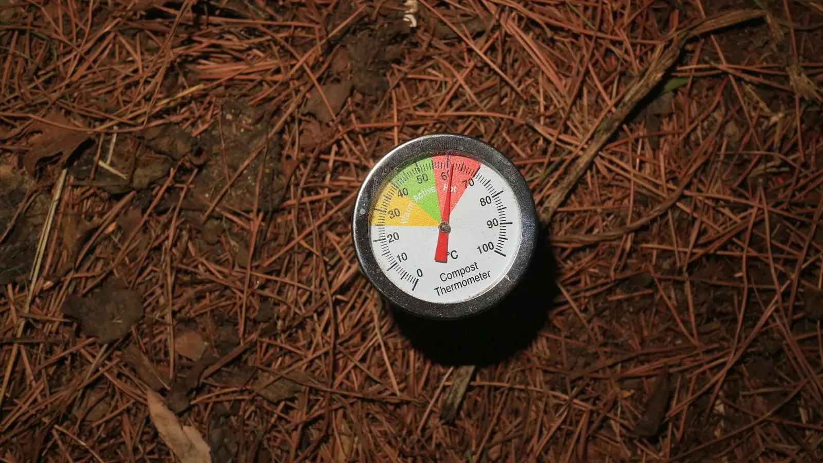 A compost thermometer reading in the hot range inside an actively decomposing pile.